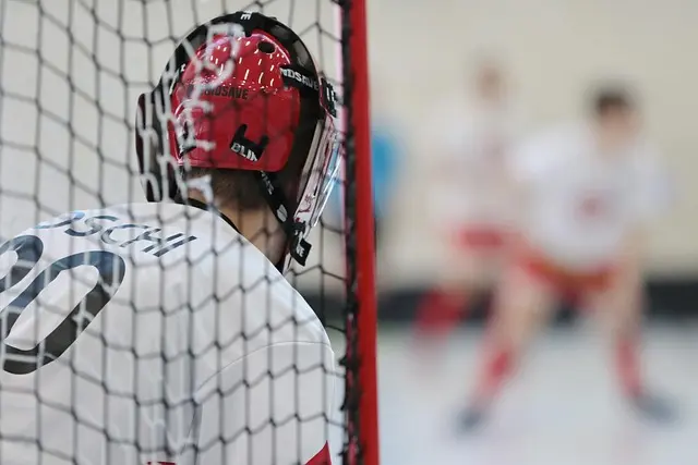 Les jeunes talents à suivre dans le handball actuel